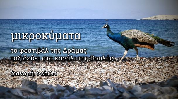 μικροκύματα