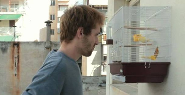 το αγόρι τρώει το φαγητό του πουλιού