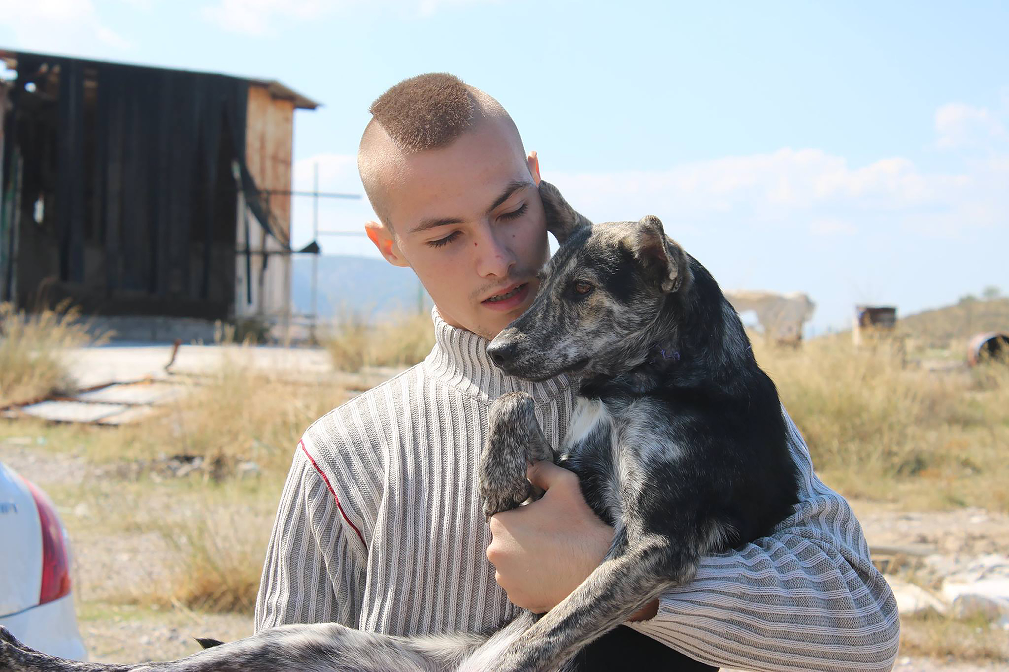 greek animal rescue