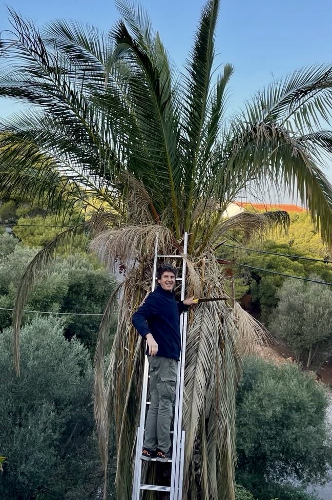 riviera κουρτούμη