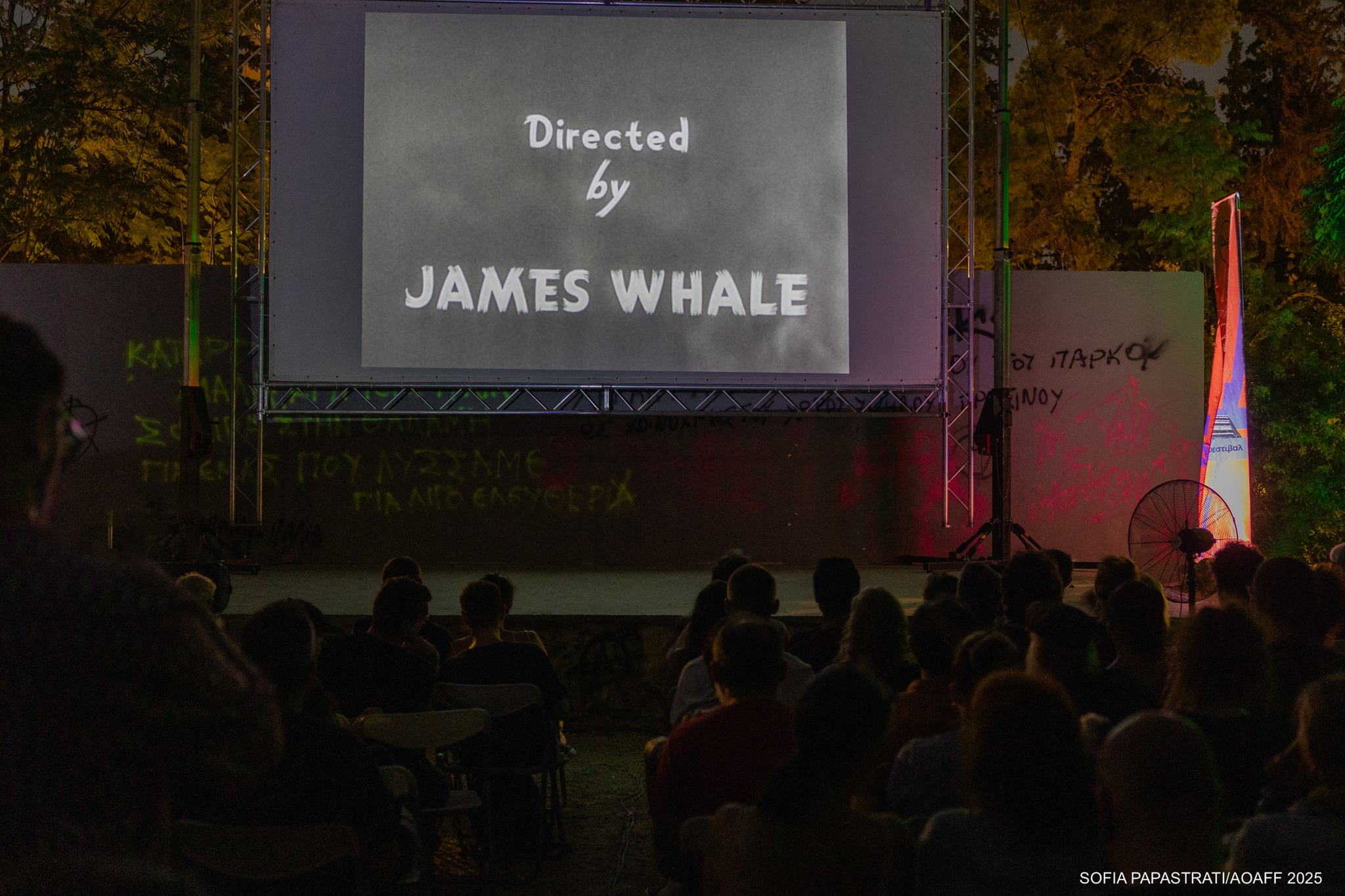 whale