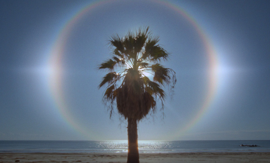 last tropics