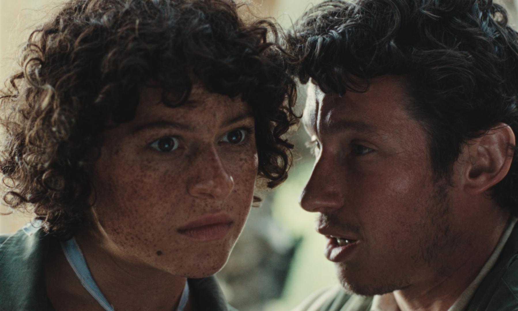 tiff 66 plot twist