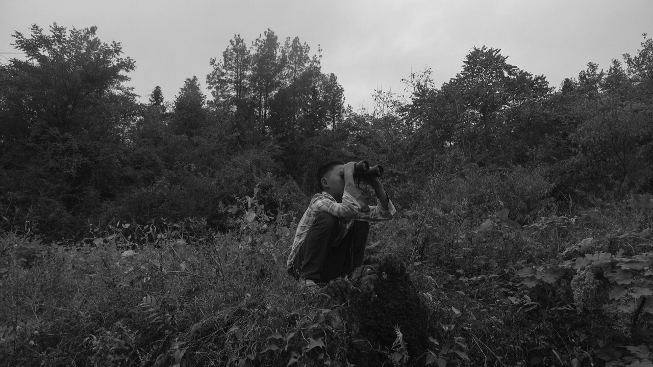 always documentary