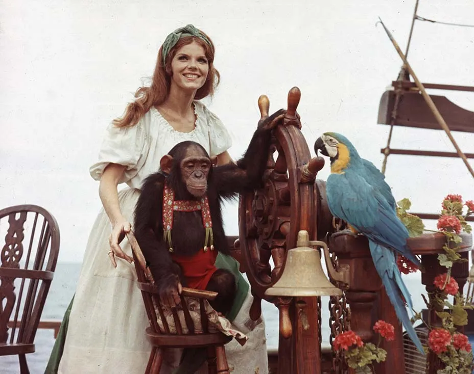 Doctor Dolittle