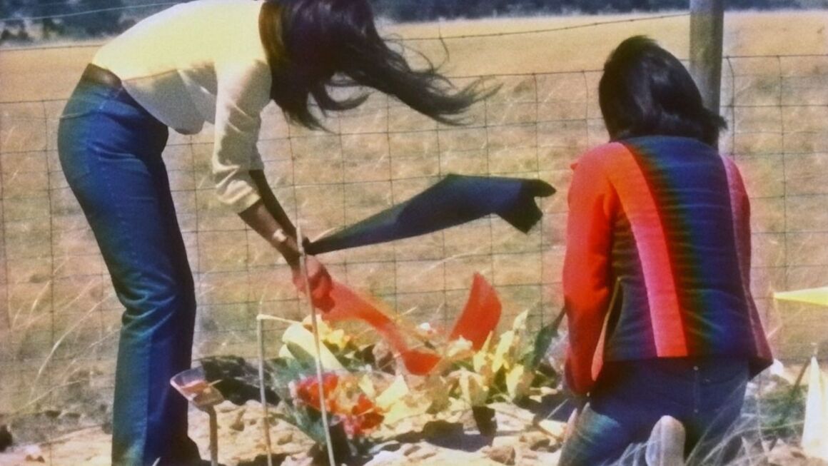 «W.A.R.N.-Women of All Red Nations»