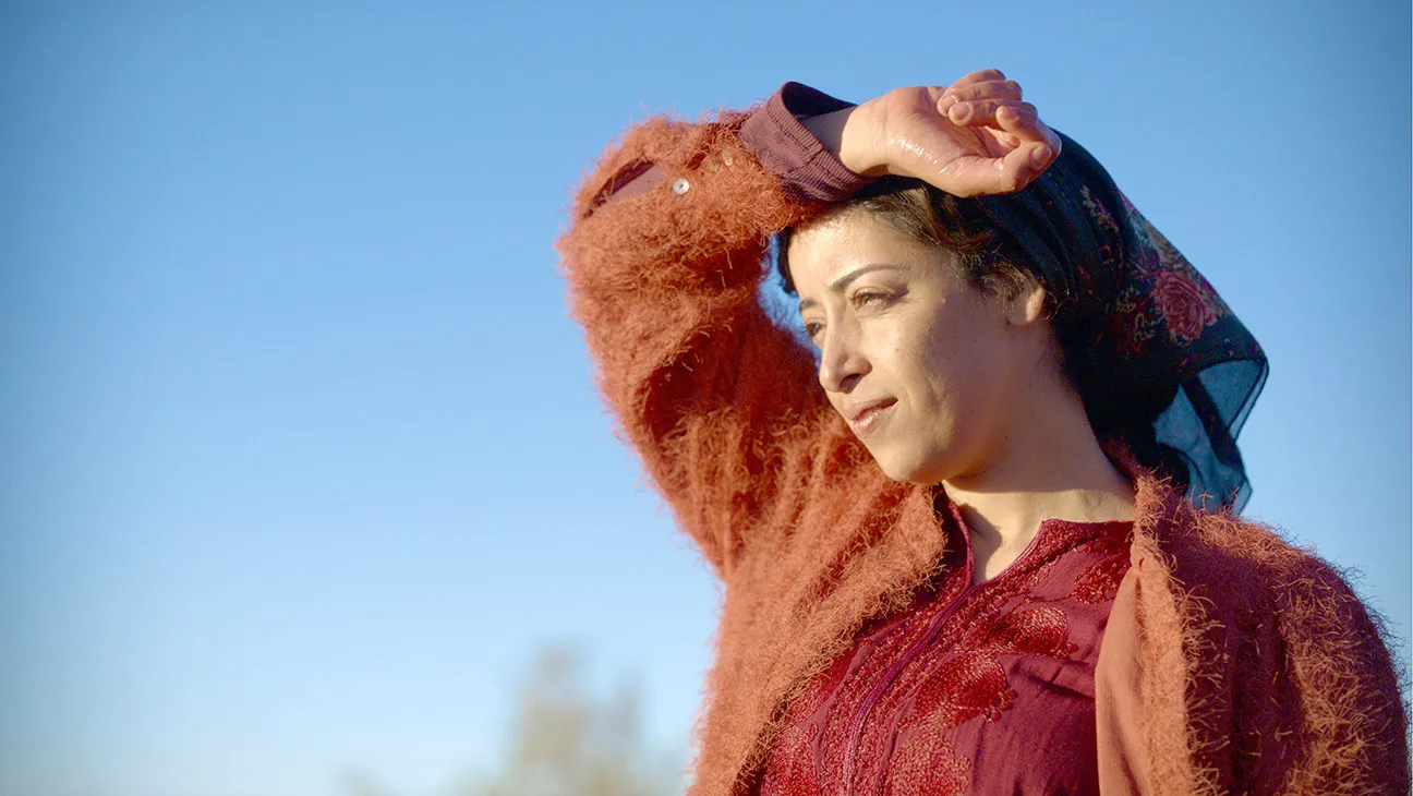 everybody loves touda