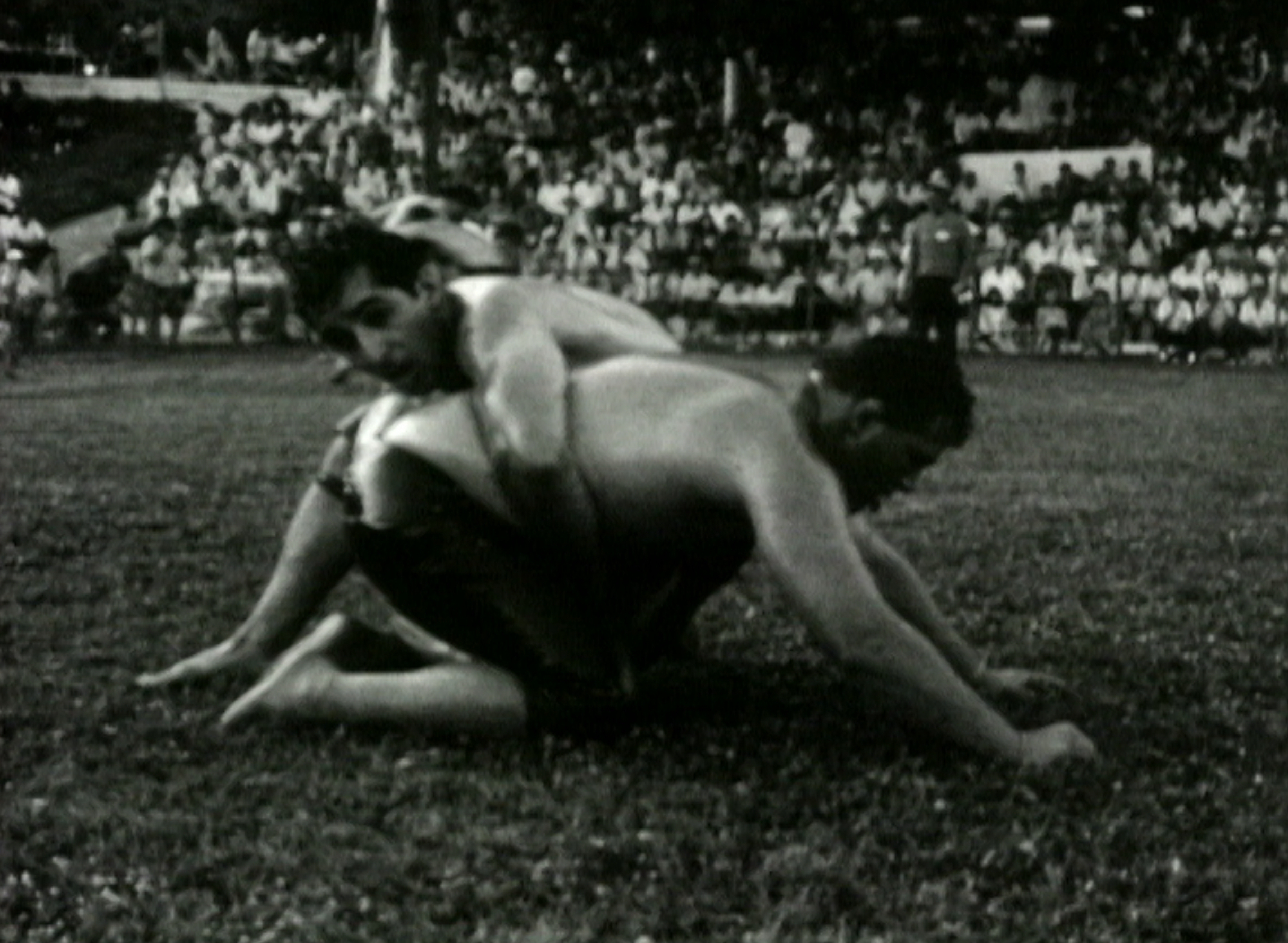 Ιδρωμένα Αλώνια