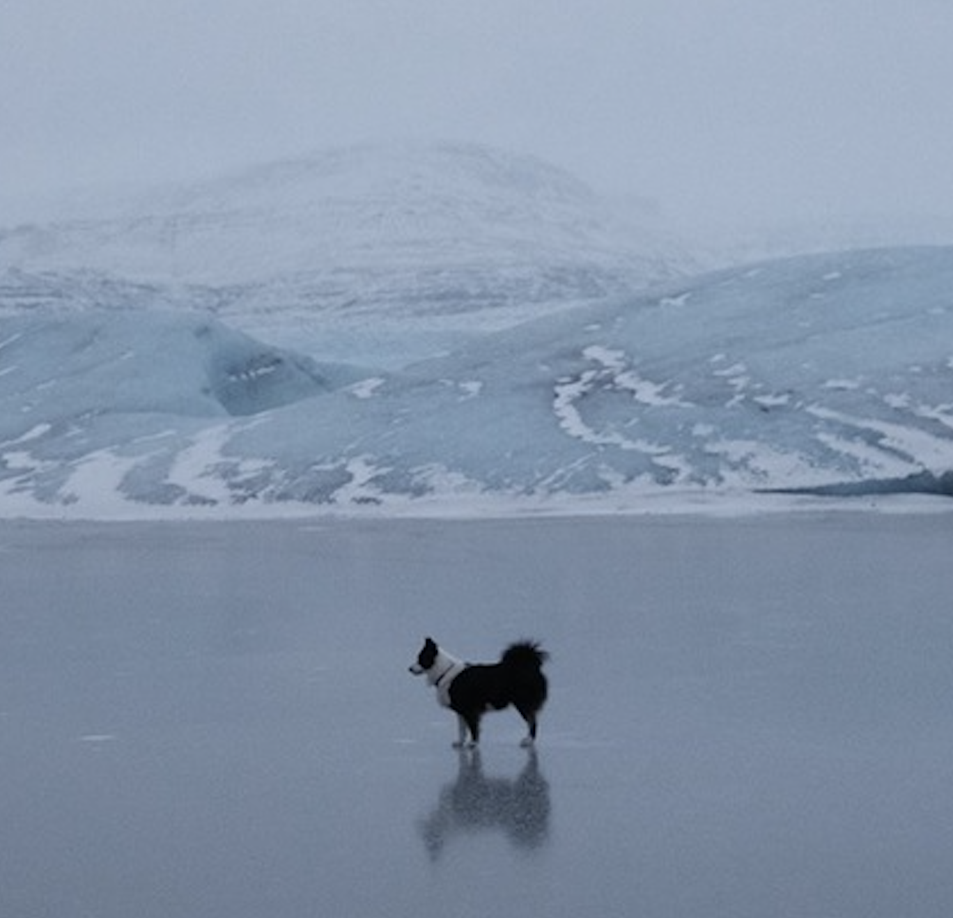 the love that remains