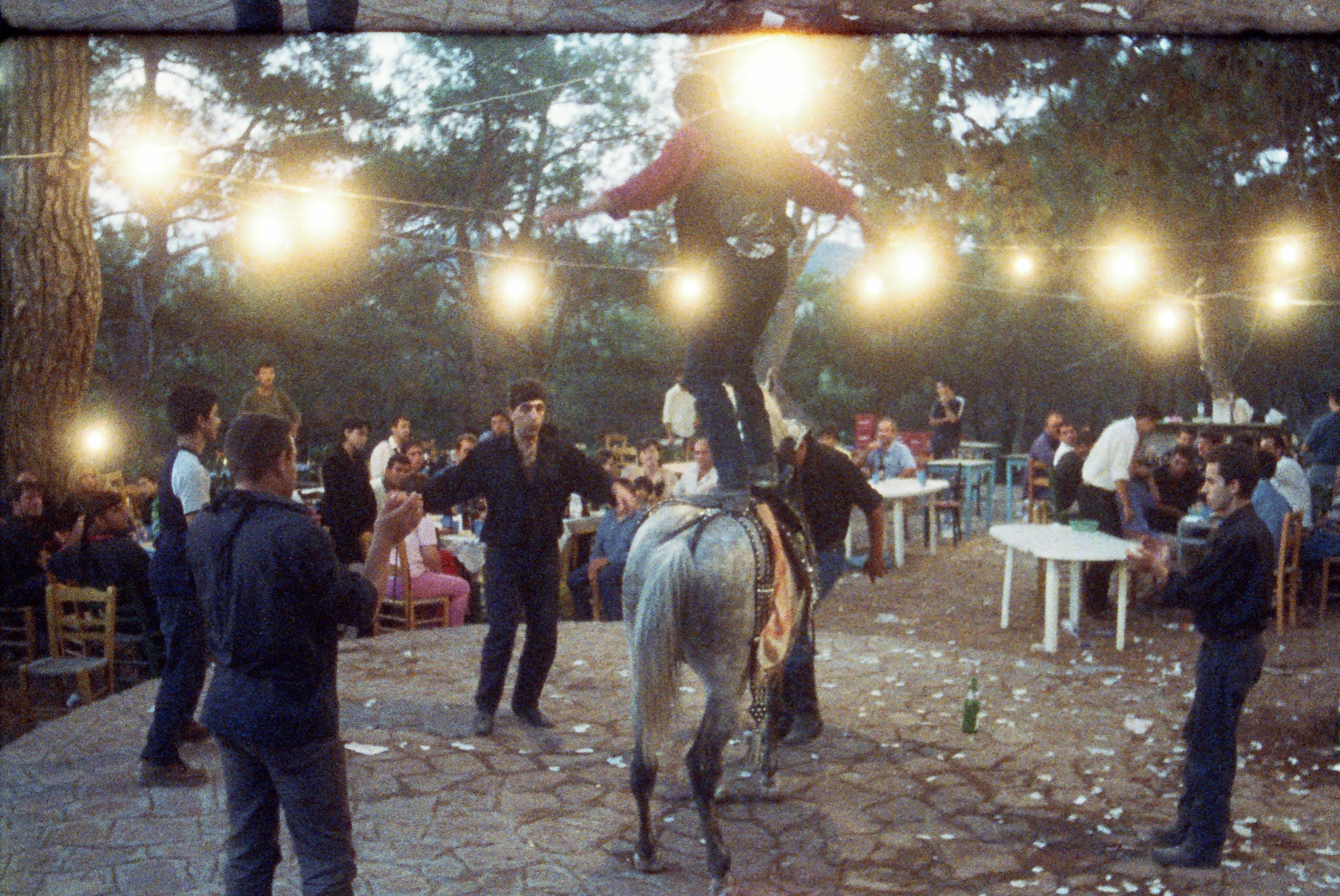 χορός των αλόγων