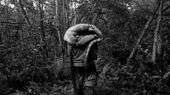 To the West in Zapata