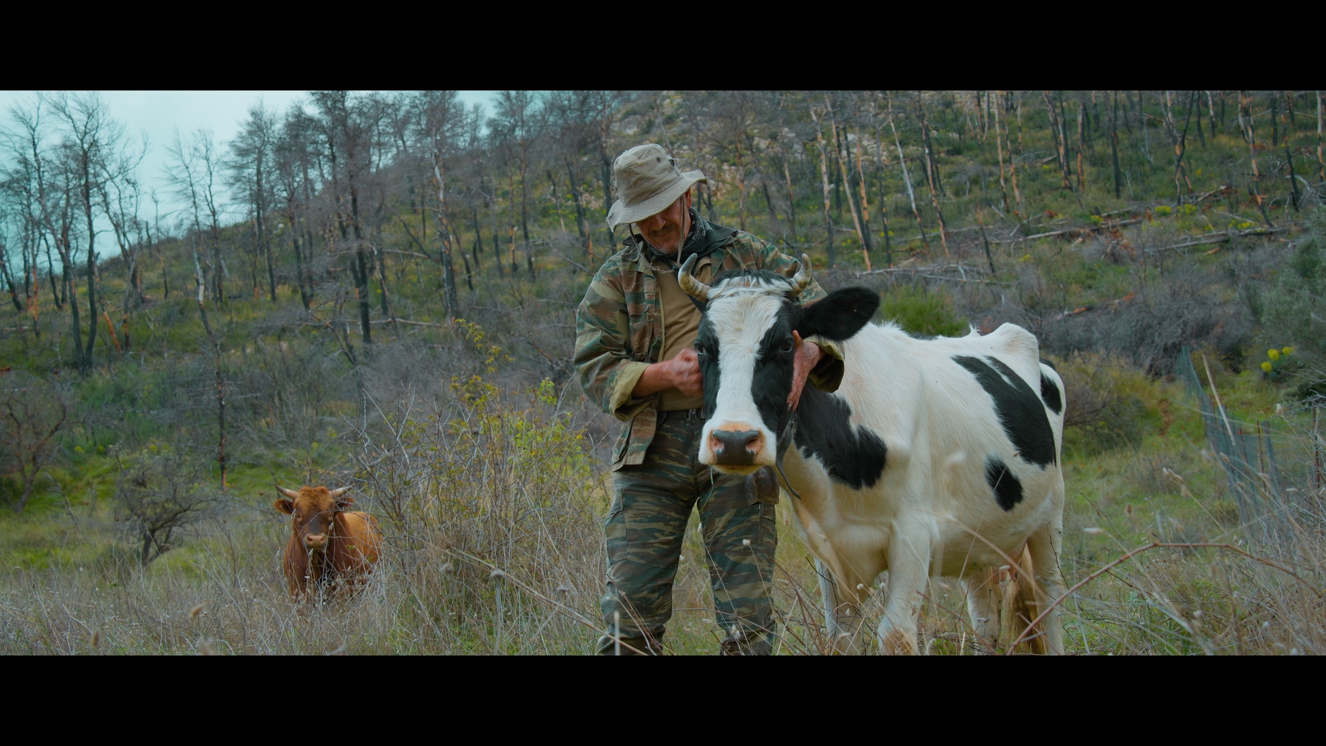 Οι Επικηρυγμένοι