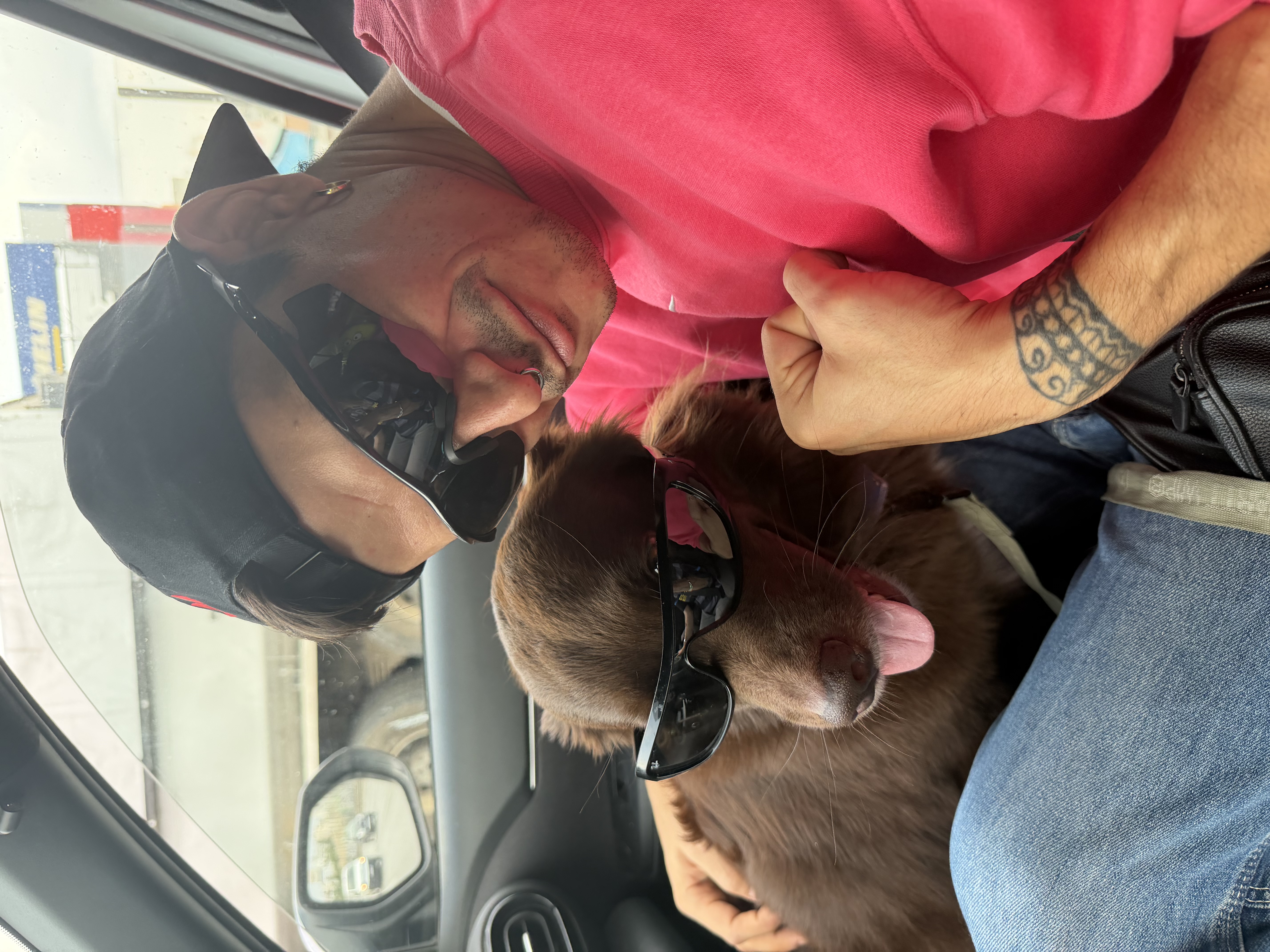 Νικολάκης Ζεγκίνογλου