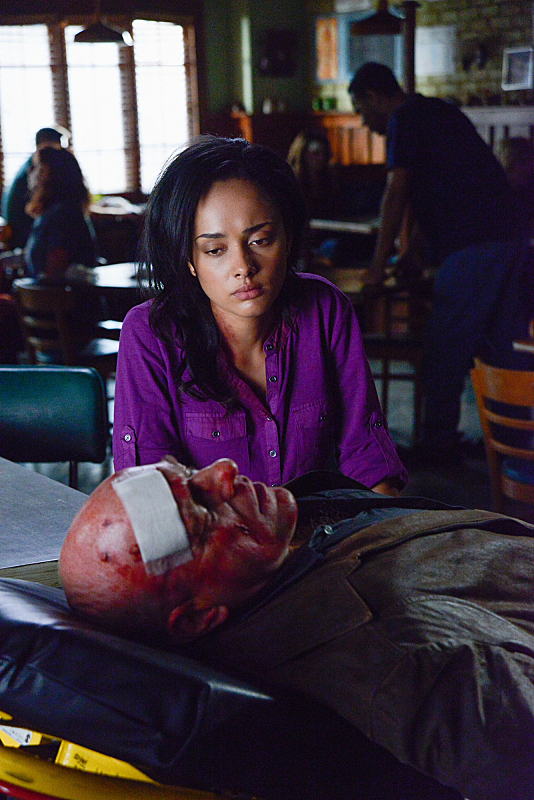 The Last Disturbance of Madeline Hynde