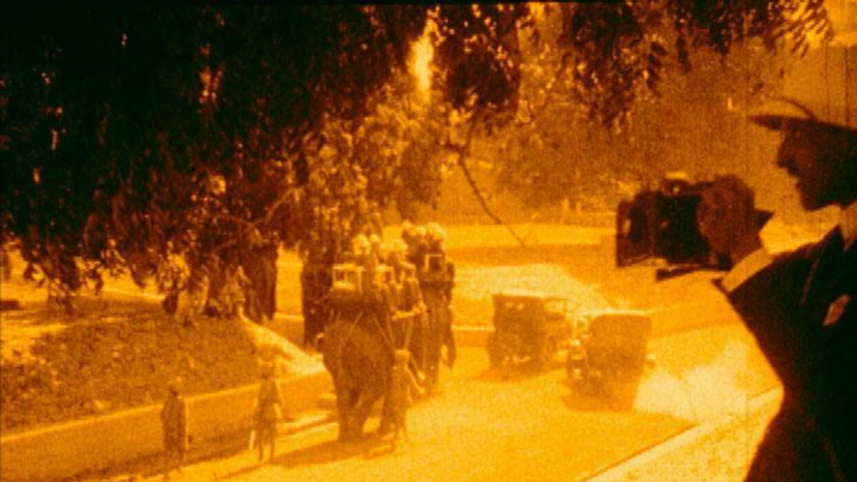 vandal tourism tidf28