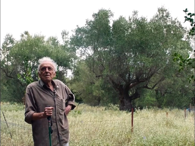 Πέστε, ο Πόθος πού Φυτρώνει;