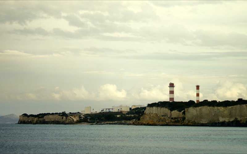 Το Μυστικό του Δάσους