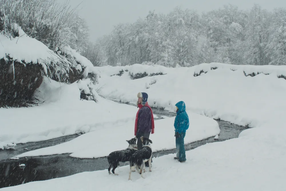 “The Meltdown,” Manuela Martelli