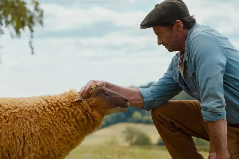 The Sheep Detectives