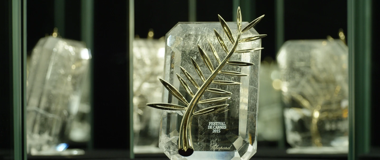 palm d'or
