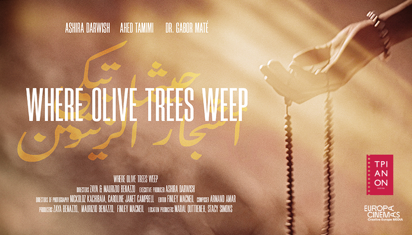 Where Olive Trees Weep