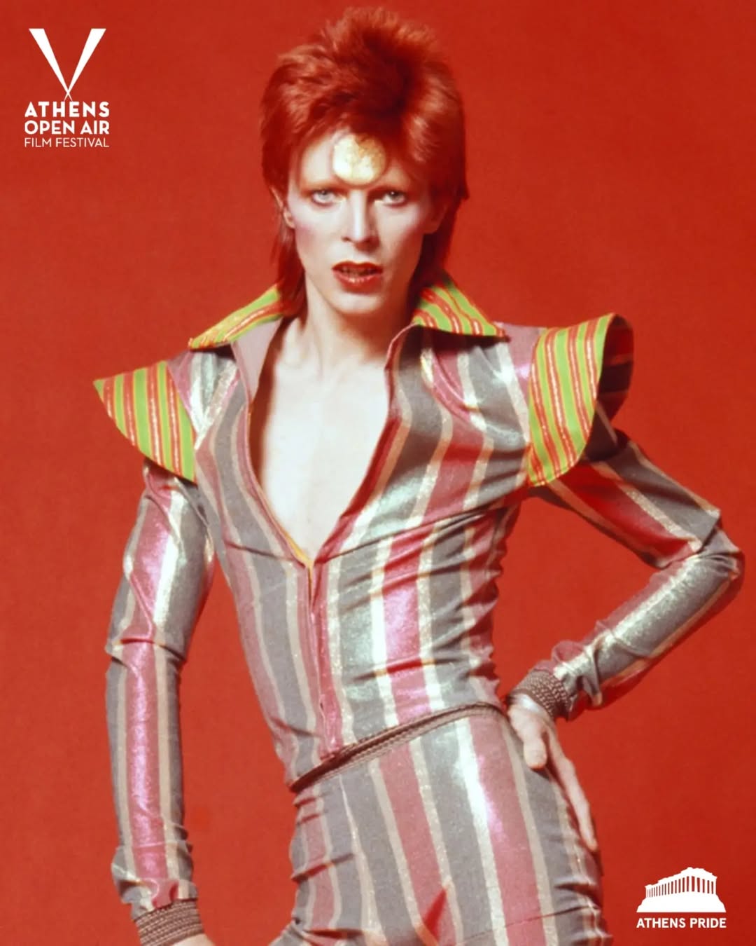 ziggy