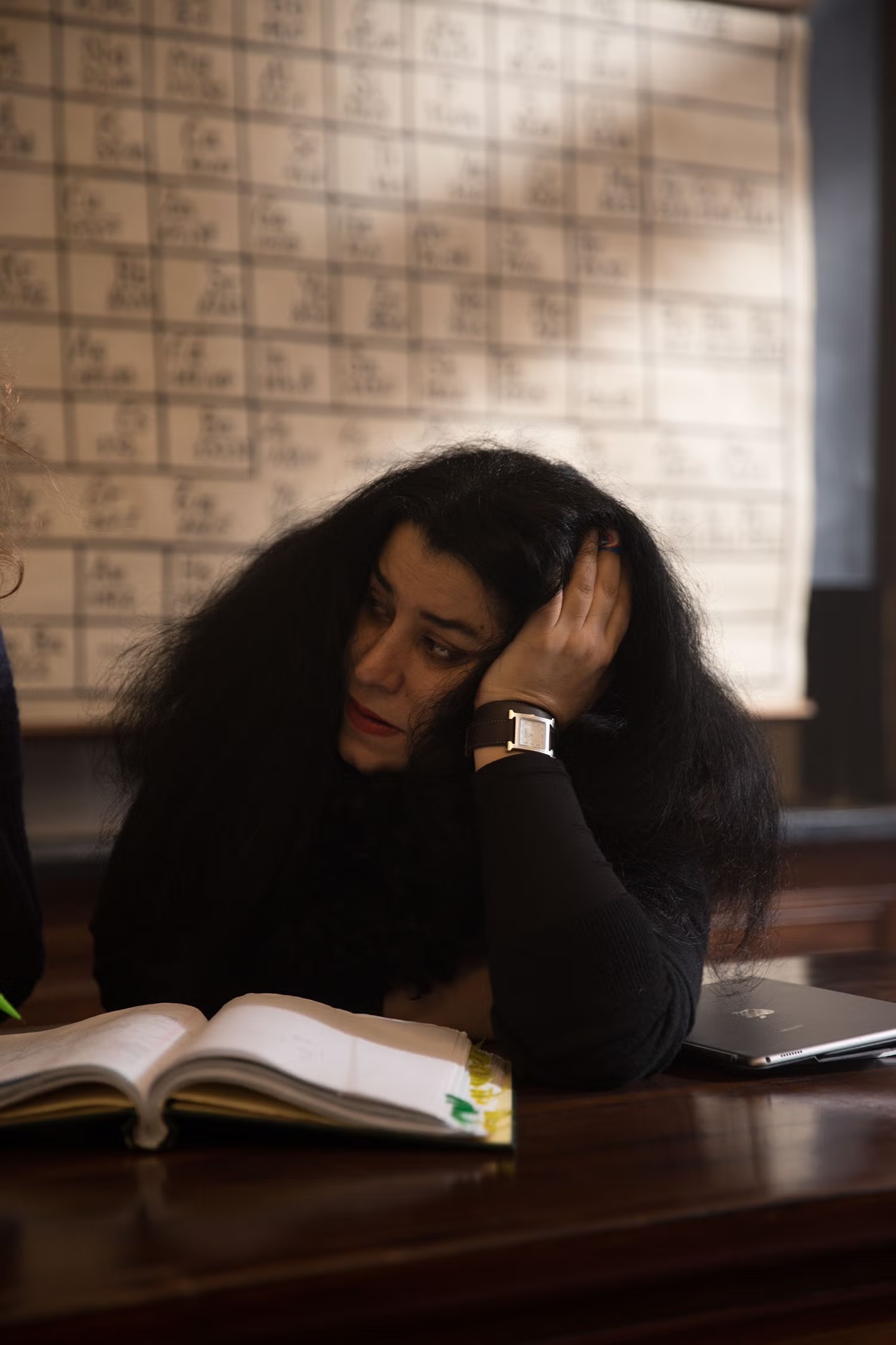 marjane satrapi