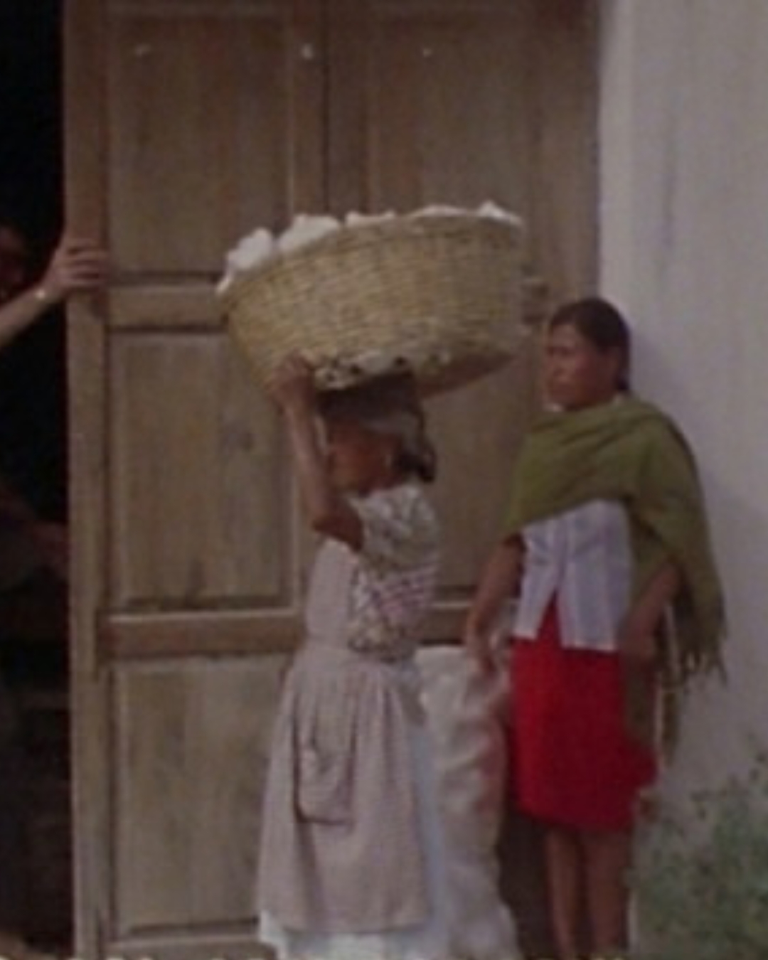 Ethnofest Fake Fruit Factory
