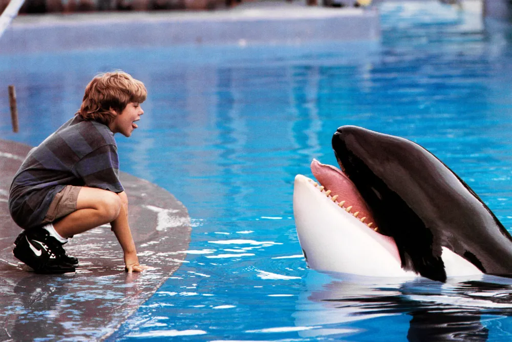 free willy