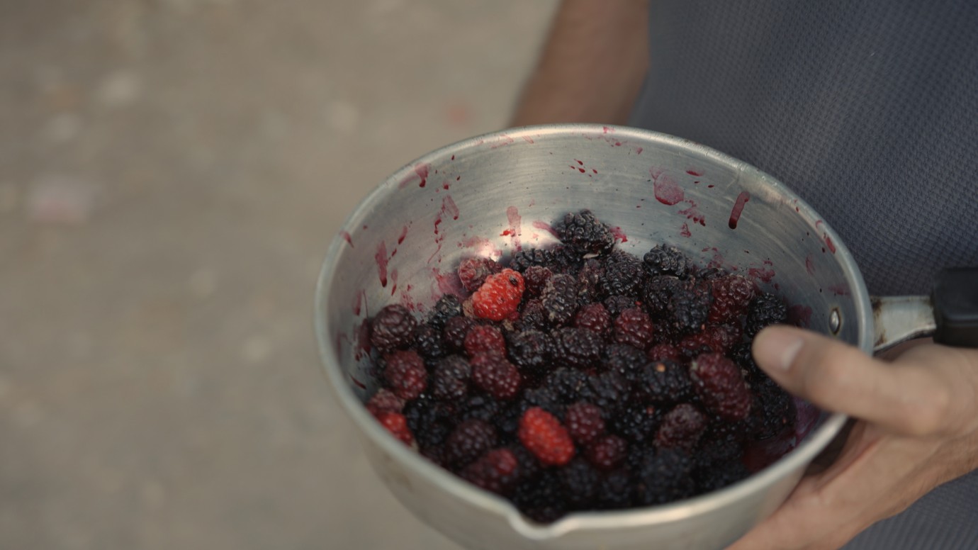 Fruits of Despair