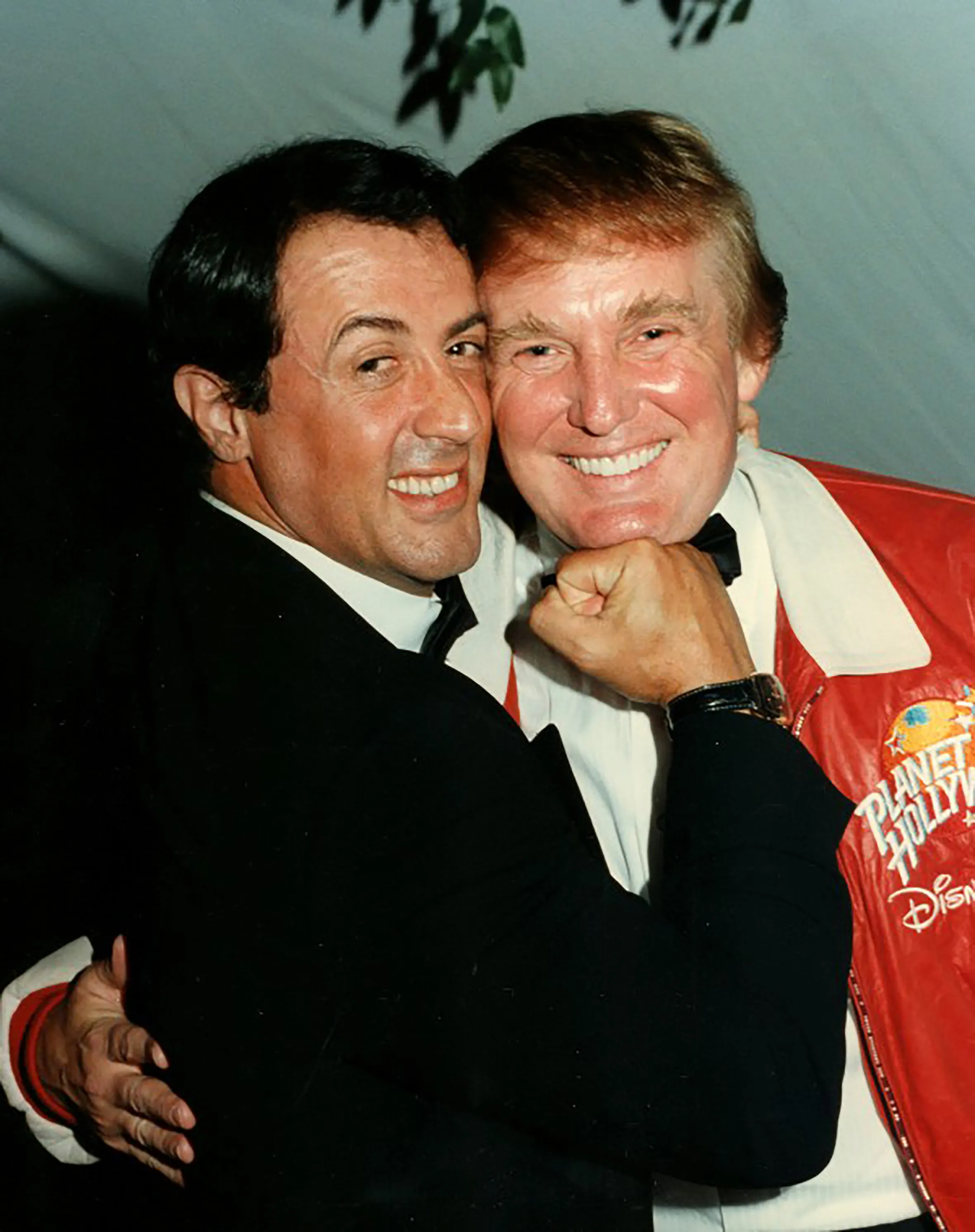 Stallone Trump