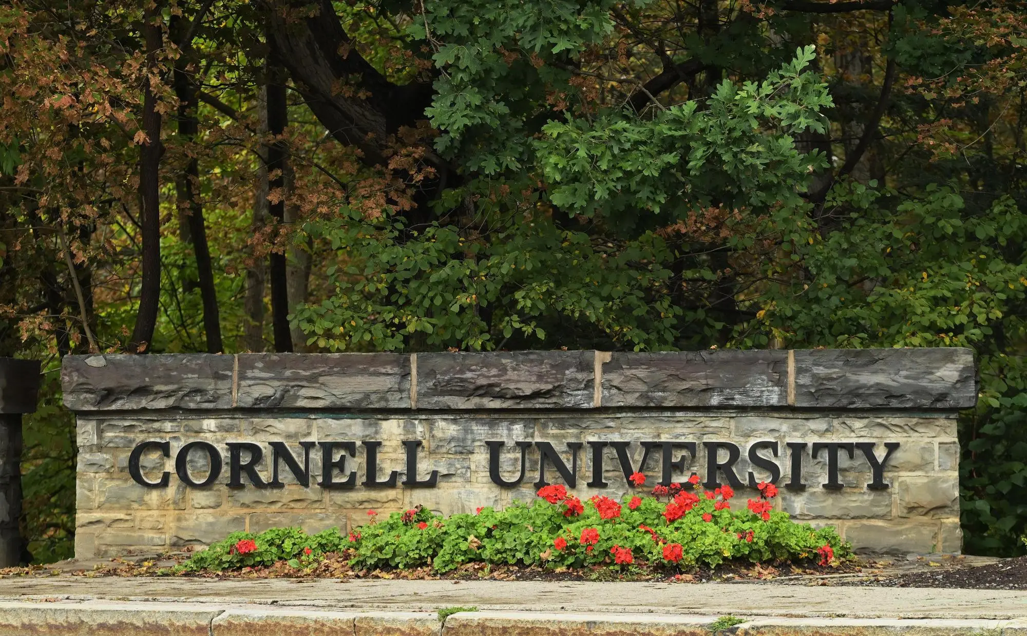 cornell