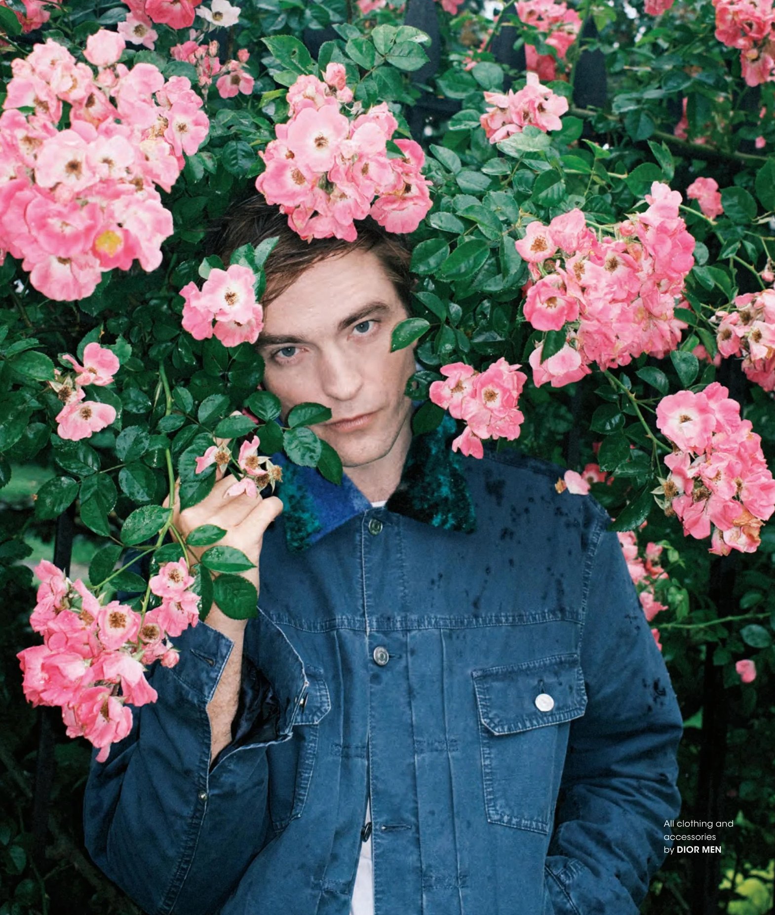 Pattinson
