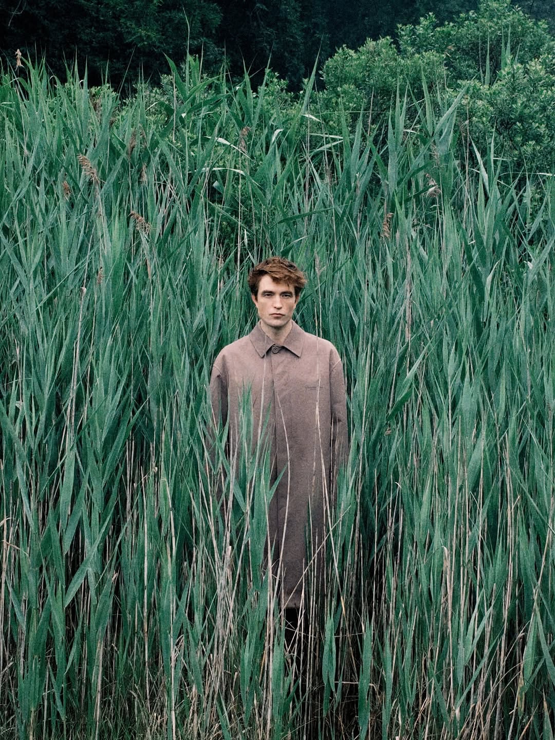 Pattinson
