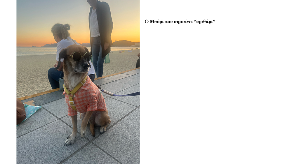 Κοτζαμάνη Τιτανικός Ωκεανός