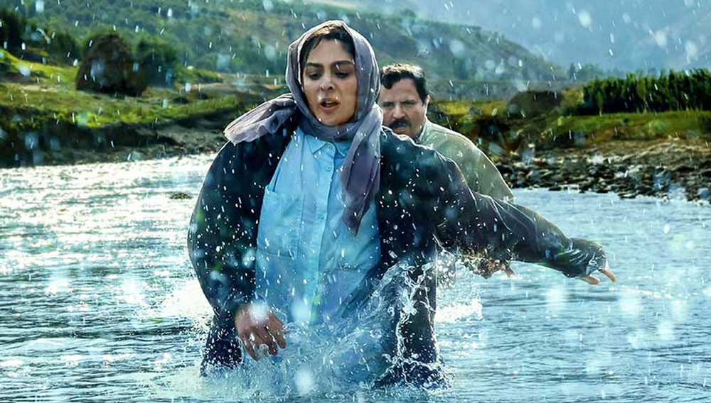 Στην Αγκαλιά του Δέντρου