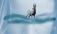 Berlinale 2022: Το «Memoir of a Veering Storm» της Σοφίας Γεωργοβασίλη στο διαγωνιστικό του Generation 14plus