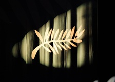 Κάννες 2026: Το επίσημο πρόγραμμα του 79ου Φεστιβάλ Καννών