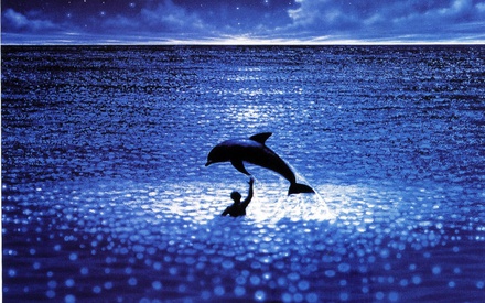 To δελφίνι του «Απέραντου Γαλάζιου», πήγε στον μεγάλο ωκεανό του ουρανού.