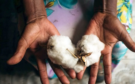 «Η Βασίλισσα του Βαμβακιού»: Ο Χρυσός Αλέξανδρος του 66ου Φεστιβάλ Κινηματογράφου της Θεσσαλονίκης