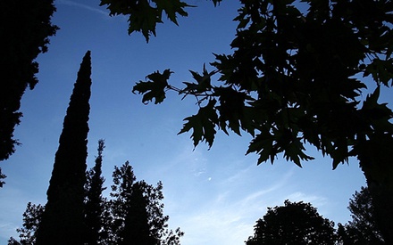 Φεστιβάλ Δράμας 2012: «Mute: Μια Ιστορία Μέσα στις Αλλες» των Γιάννη Αδρίμη και Κώστα Αποστολόπουλου
