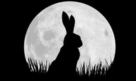 Οι ήρωες του τηλεοπτικού «Watership Down» δεν είναι χαριτωμένα κουνελάκια