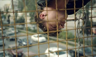 To «Park» της Σοφίας Εξάρχου στο Φεστιβάλ του Ρότερνταμ