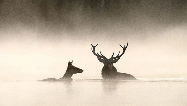 Προσεχώς: Οι ταινίες που θα δούμε στις αίθουσες από την Πέμπτη, 12 Φεβρουαρίου