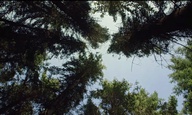 Είναι αυτό το πιο χαλαρωτικό φιλμ που γυρίστηκε ποτέ;