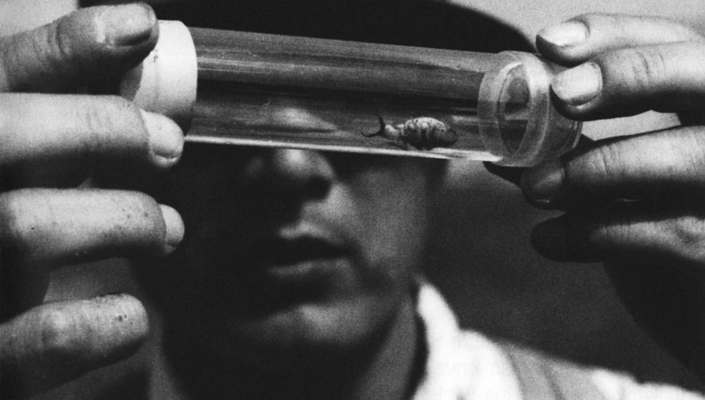 Γυναίκα στους Αμμόλοφους