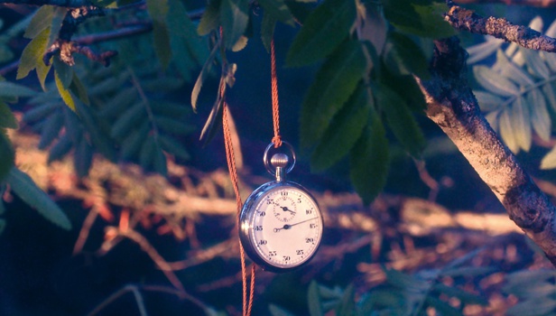 Τι βλέπουμε στο σπίτι την Τετάρτη, 25 Φεβρουαρίου