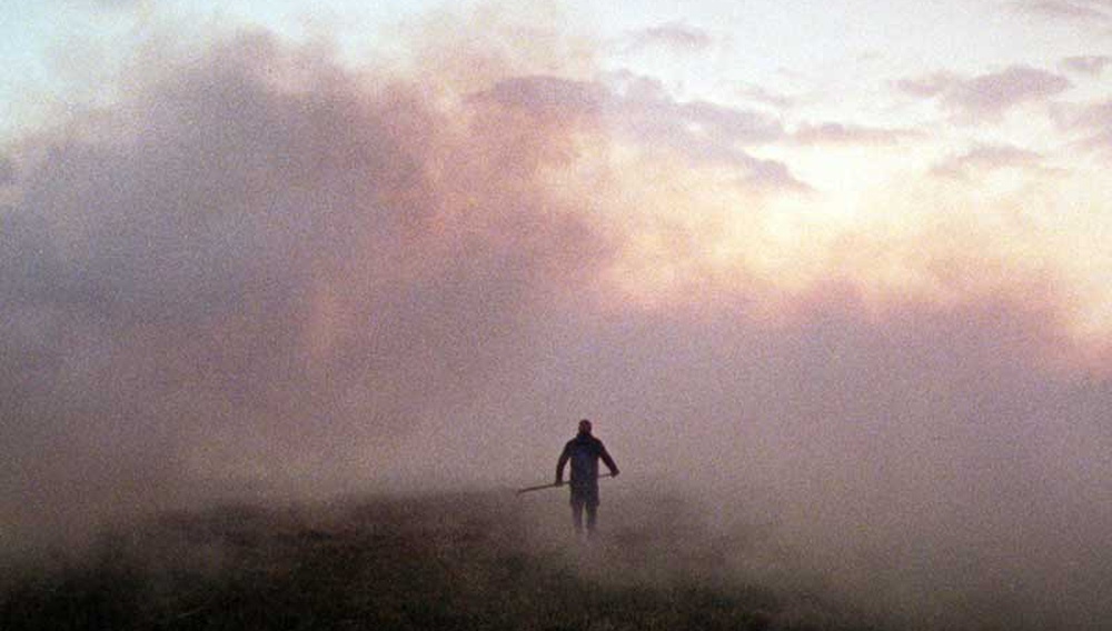 Ανάμεσα στις Καλαμιές