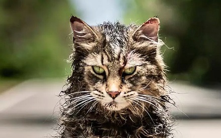 Πρώτες φωτογραφίες από το remake του «Pet Sematary» του Στίβεν Κινγκ