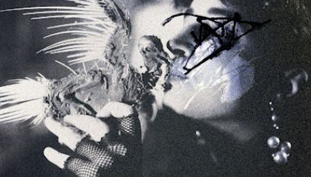 8ο Balkan Can Kino Συμπόσιο Κινηματογράφου: Πρόγραμμα Προβολών και Παράλληλων Δράσεων